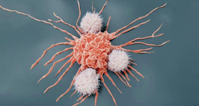 Erkeklerde ve kadınlarda en sık görülen kanser türleri açıklandı