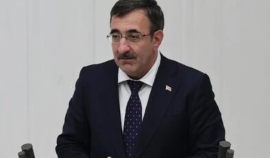 Cevdet Yılmaz: Dezenflasyon Sürecini Güçlendirmeye Devam Edeceğiz