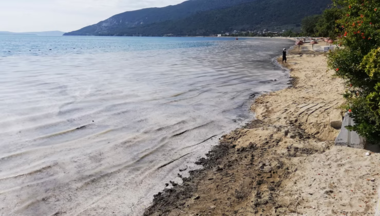 MARMARA DENİZİ KORUMA EYLEM PLANI